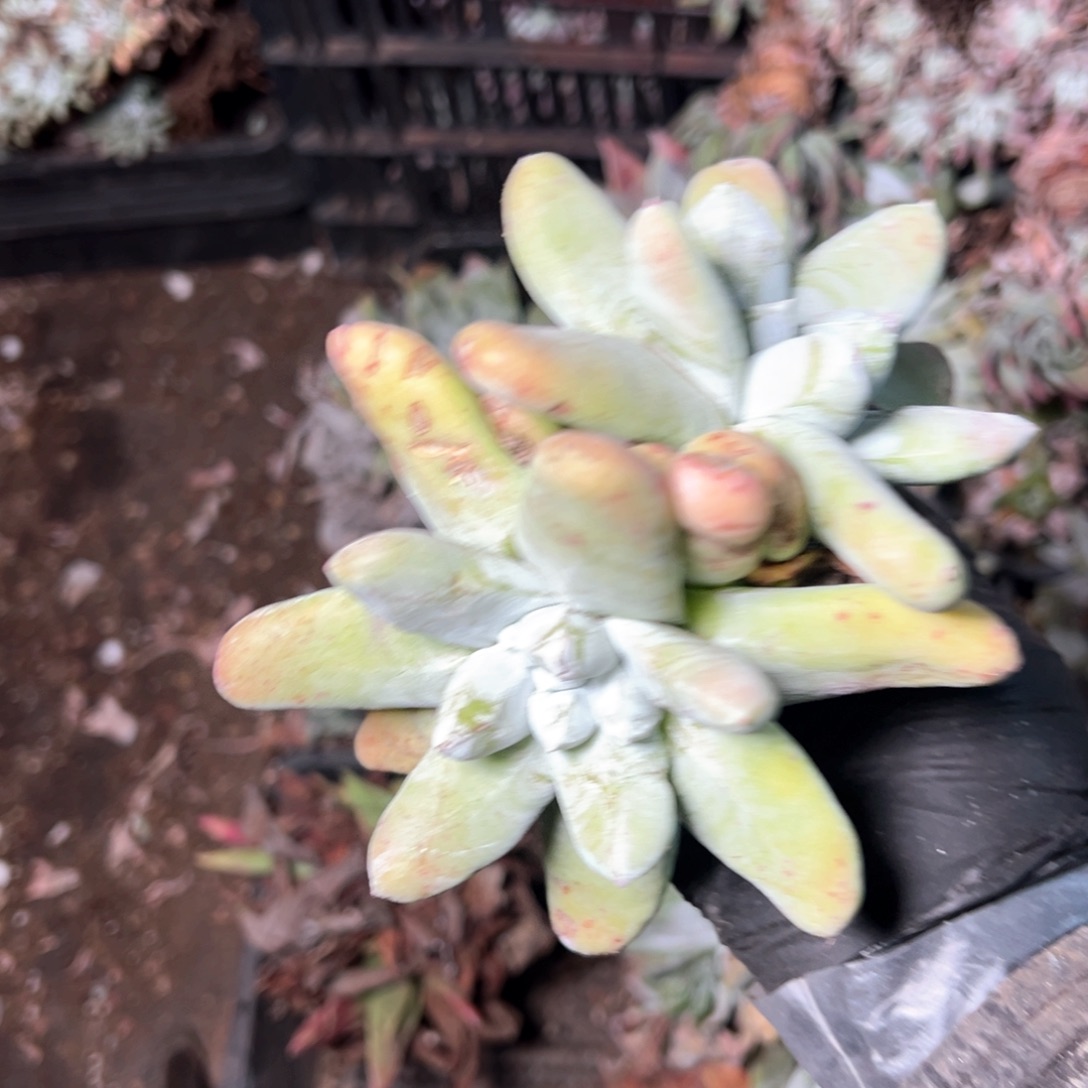 6914哈哈哈哈哈哈哈哈