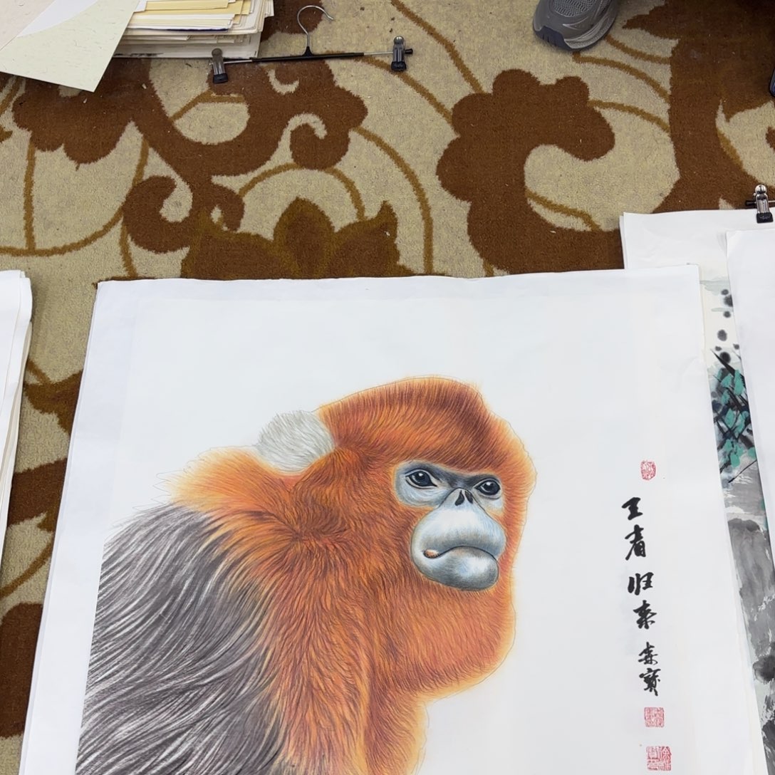 国画李李李希李欣主播