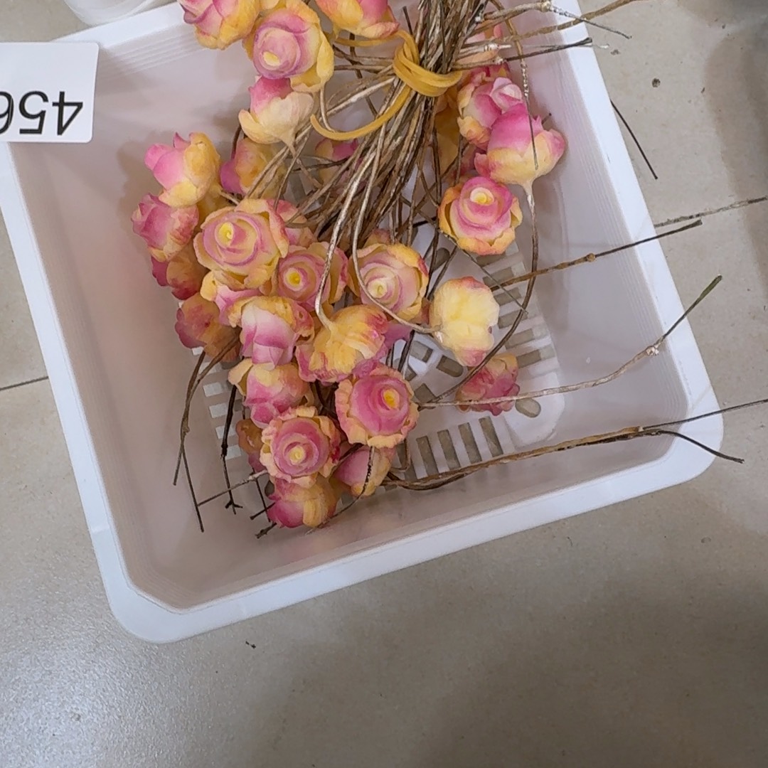 树脂456号哦哦哦哦哦哦哦