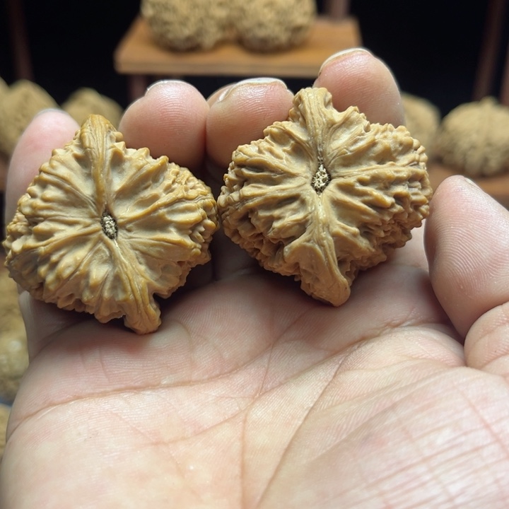 完全开放?南疆石