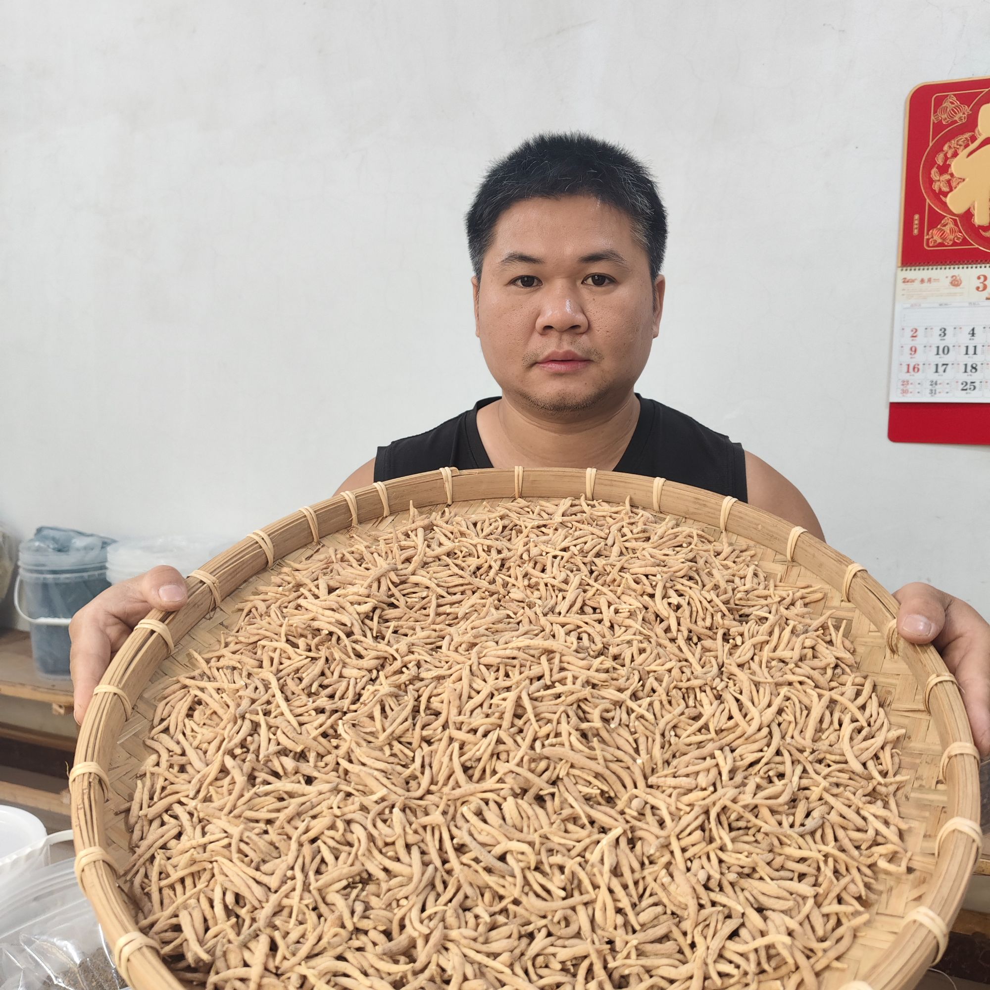 太子参 福建种植太子参 孩儿参 饱满中大粒
