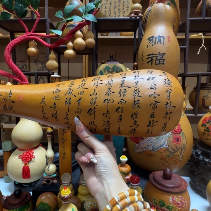 A***龙11111411111111111111