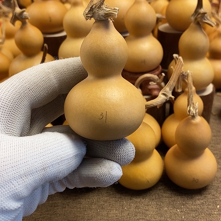 文玩葫芦 完美主义者 慎拍31