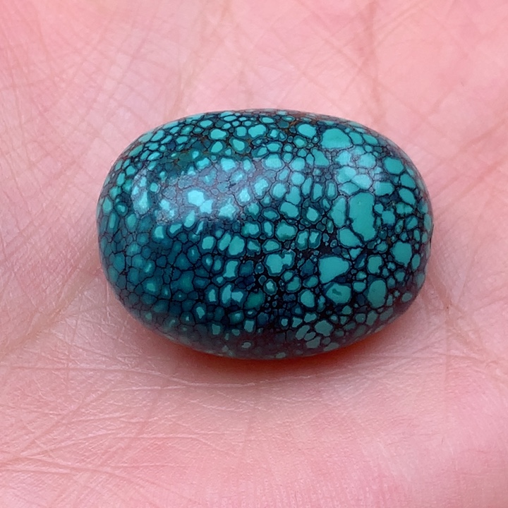 绿松石颈饰未镶嵌