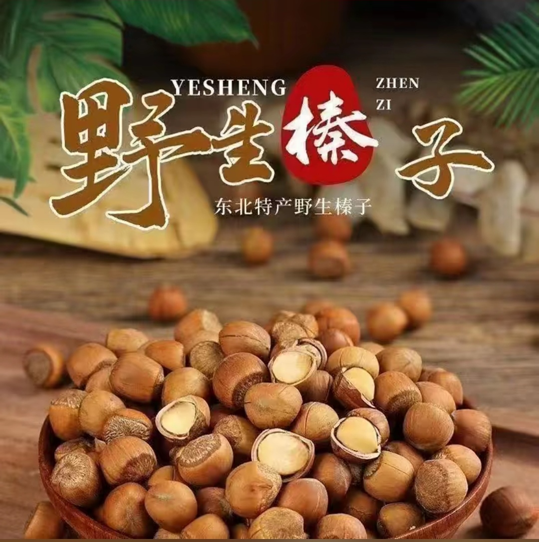 东北野生大榛子皮薄肉厚 满仔满嚷