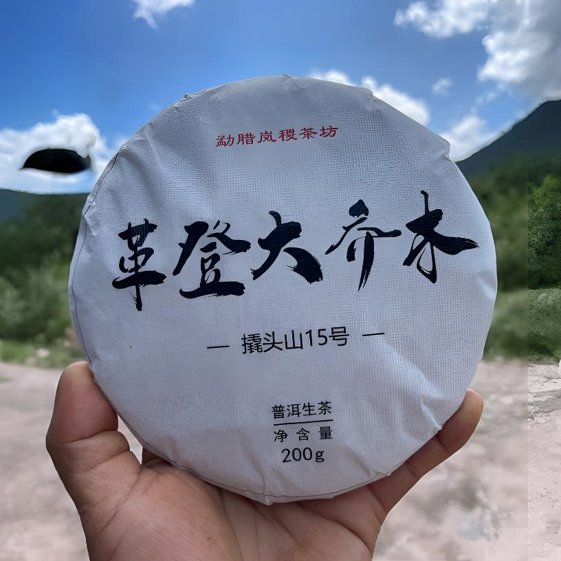云南特产普洱茶革登大乔木头春饼茶2025年天鹅抱蛋