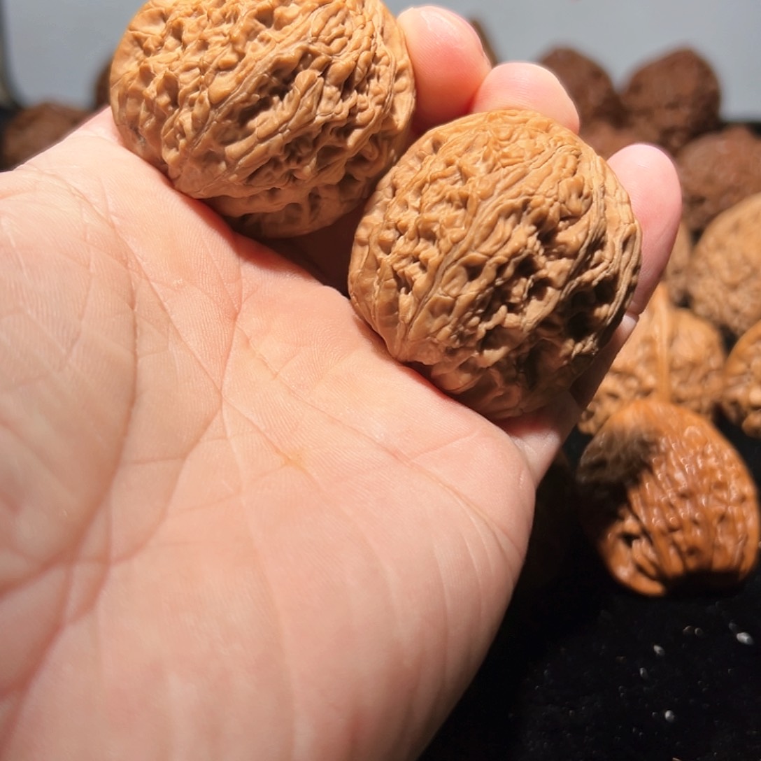 核桃其他野生42鸭蛋虎