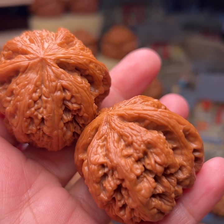 风***角核桃44大粗筋毕业对