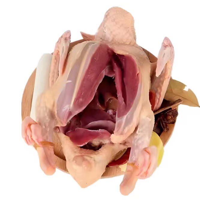 农家散养生鲜乳鸽鸽子肉可煲汤新鲜现杀一物一拍