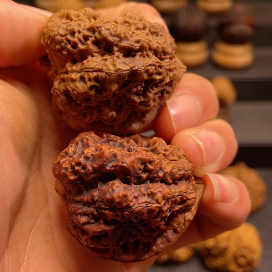 文玩核桃把件F达摩古蟾头货