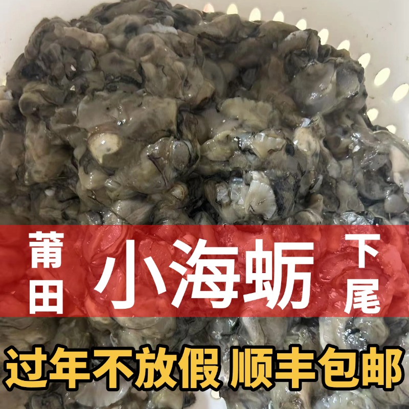 福建莆田海蛎肉现开现发石头海蛎灵川下尾小海蛎子（顺丰空运包邮）