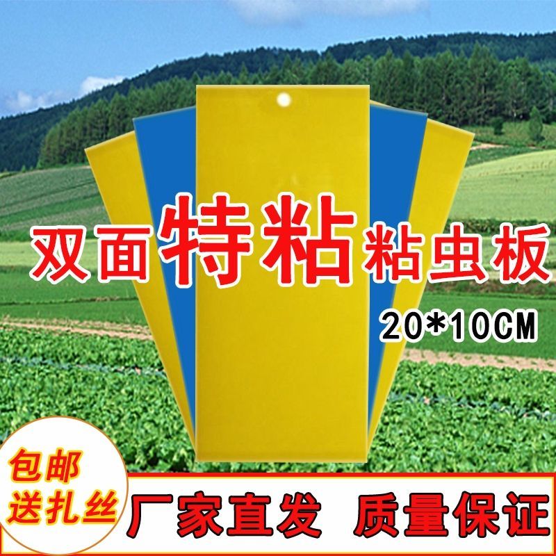 粘虫板蓝板蓟马黄板双面黏虫诱虫板茶园花园大棚灭小黑虫园林菜园