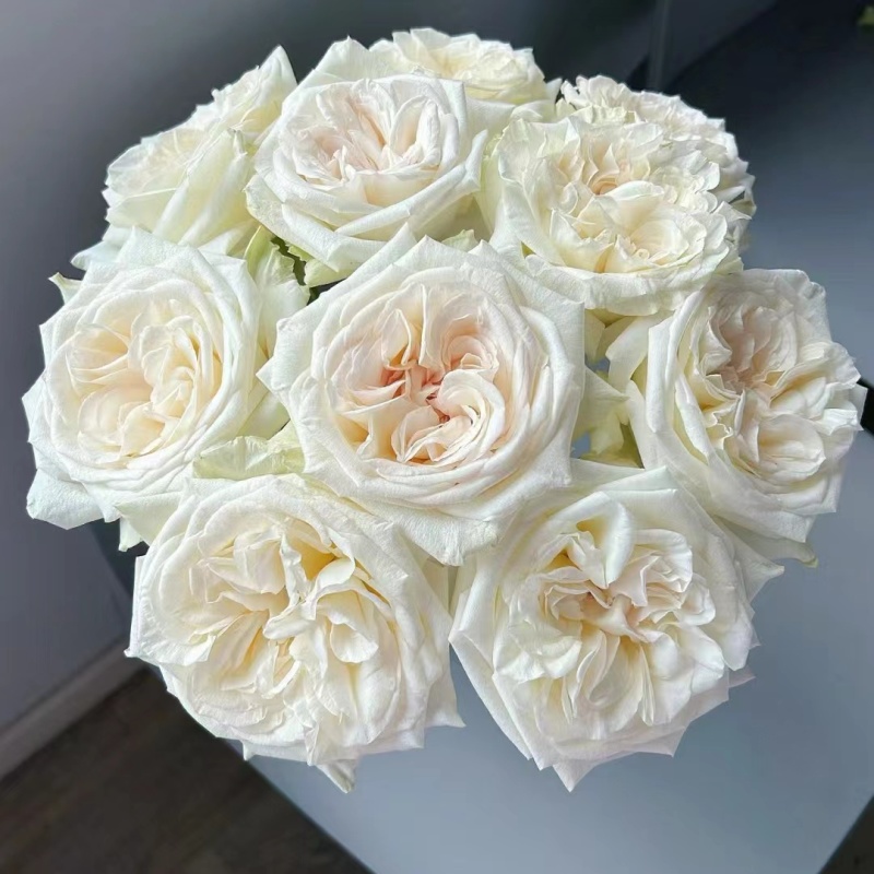 {白荔枝玫瑰} 云南鲜花 任意2单鲜花顺丰或德邦包邮送货到家