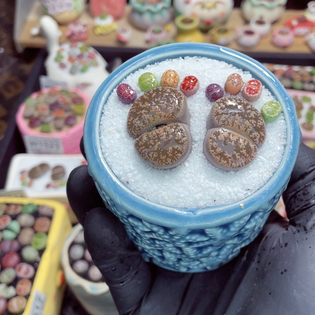 夜间零下地区拍保温箱w1534