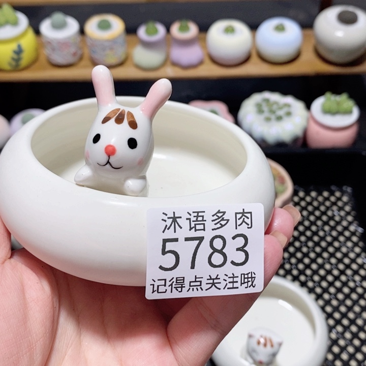 伊***忘带盆土植物 一物一拍5783