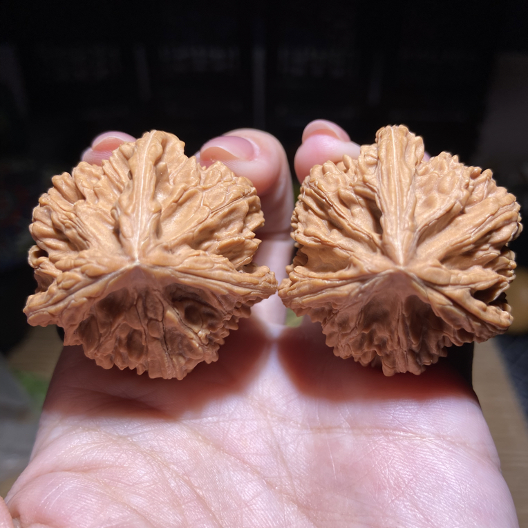 文山三棱狮子头文玩核桃手把件 40尺