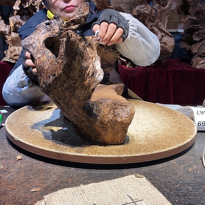 厚***物457。株木随行根艺