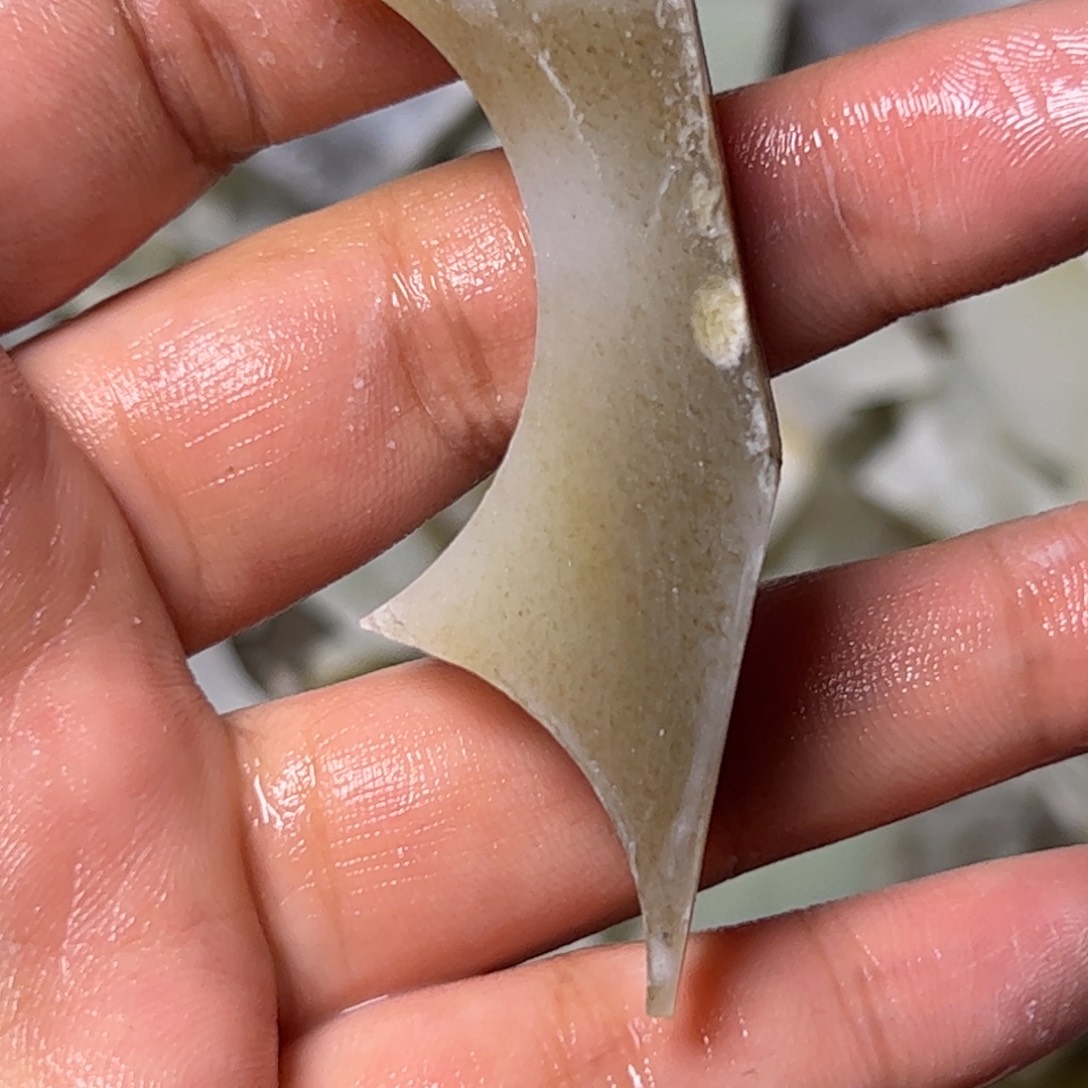 和田玉未镶嵌项链