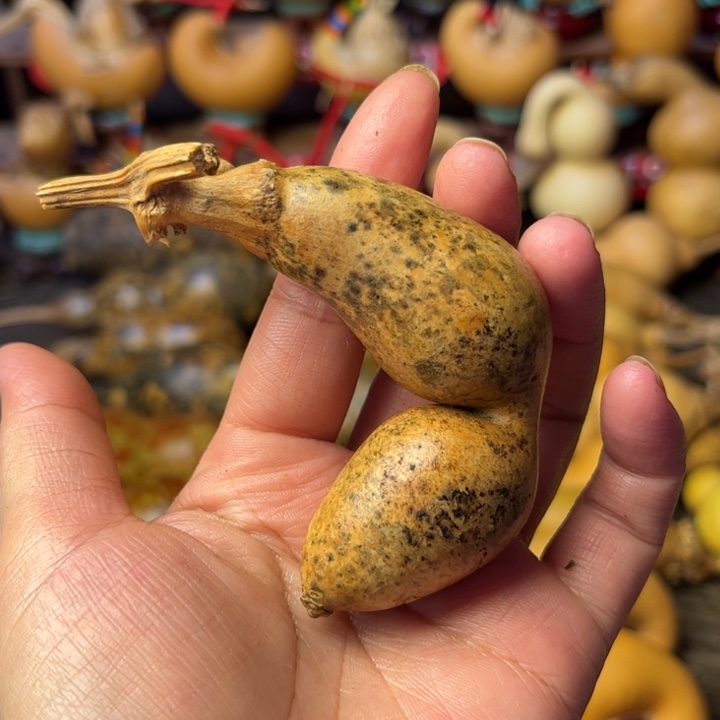 泽***司花皮葫芦微瑕有掉皮的