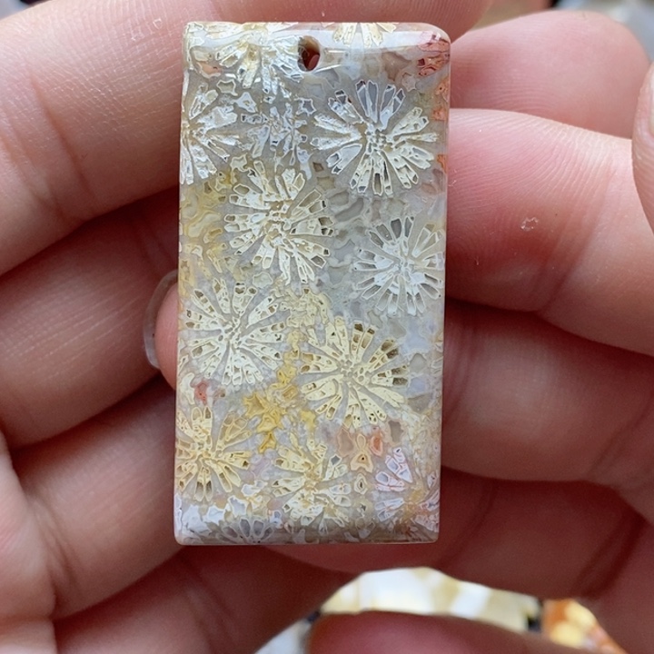 硅化珊瑚（珊瑚玉）颈饰未镶嵌