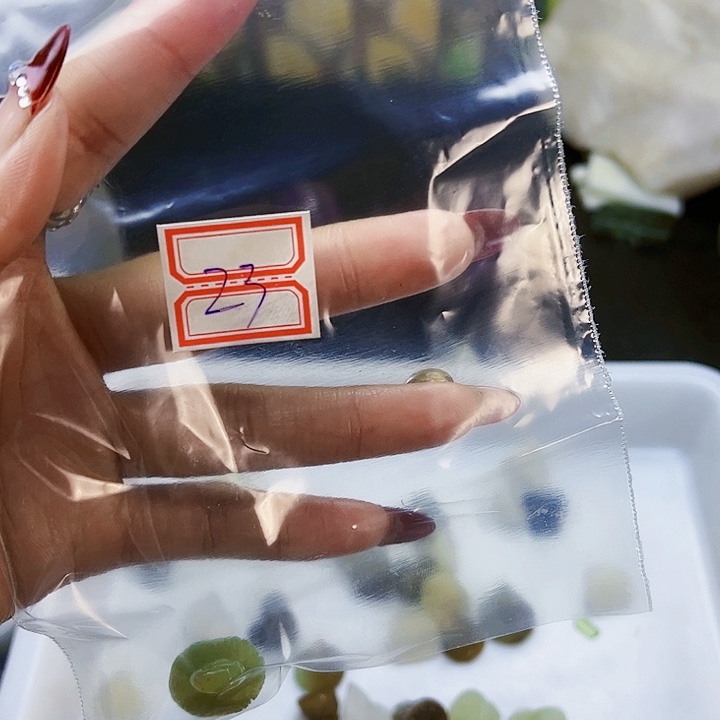 和田玉（糖玉）珠宝半成品未镶嵌