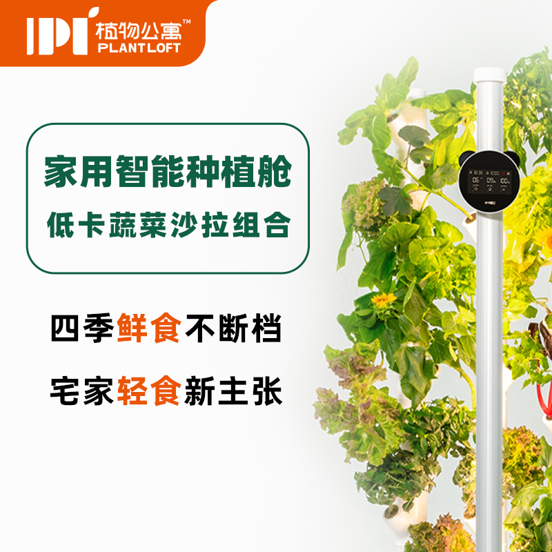 低卡蔬菜沙拉组合家用智能种植舱 