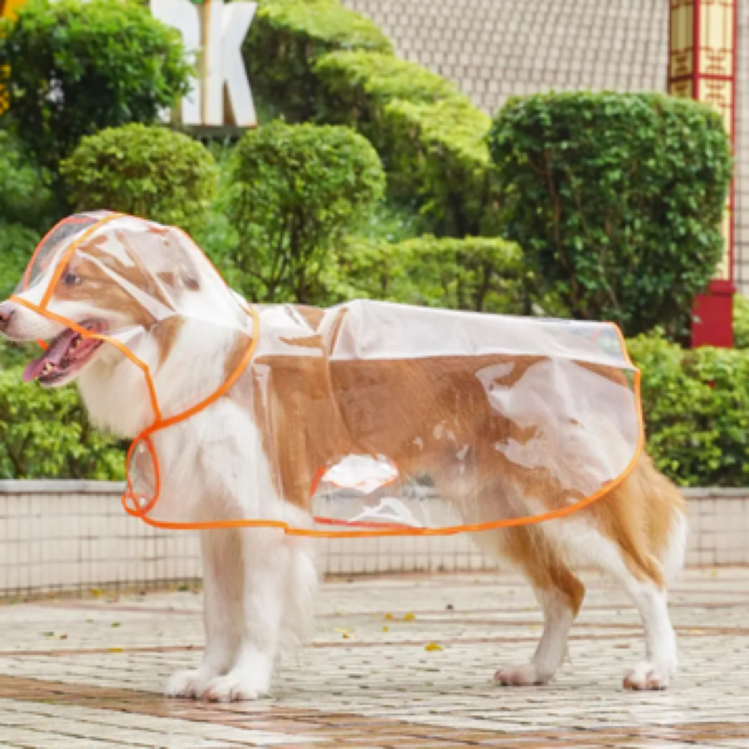 宠物大狗透明外出雨衣金毛拉布拉多边牧大型犬狗狗衣服
