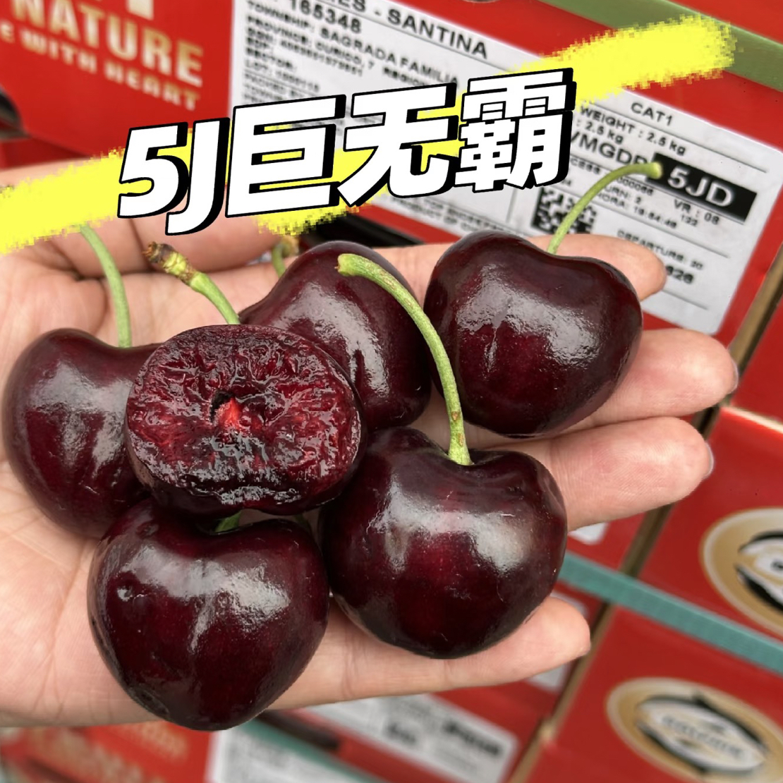 海运车厘子5J桑提娜  5斤装 硬脆甜原包装 内附果径卡桑提娜智利