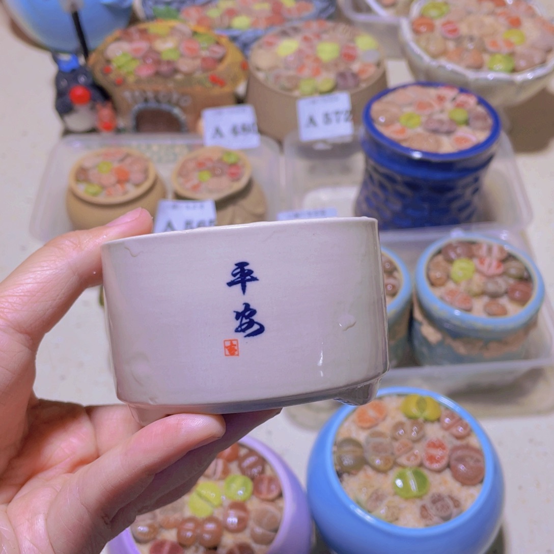 发***媛584。。。。。。。。。。。