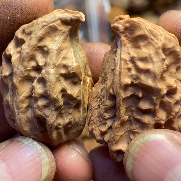 吊坠桃核东北特产119