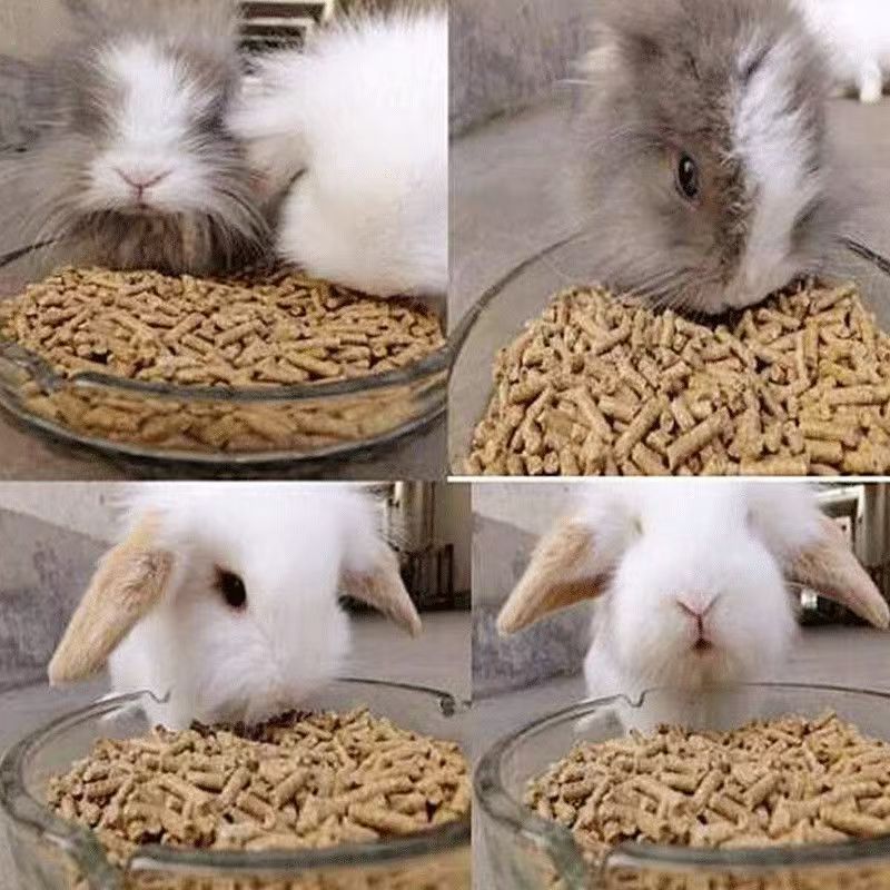 全阶段宠物兔粮适合宠物兔垂耳兔侏儒兔等多种兔兔兔粮
