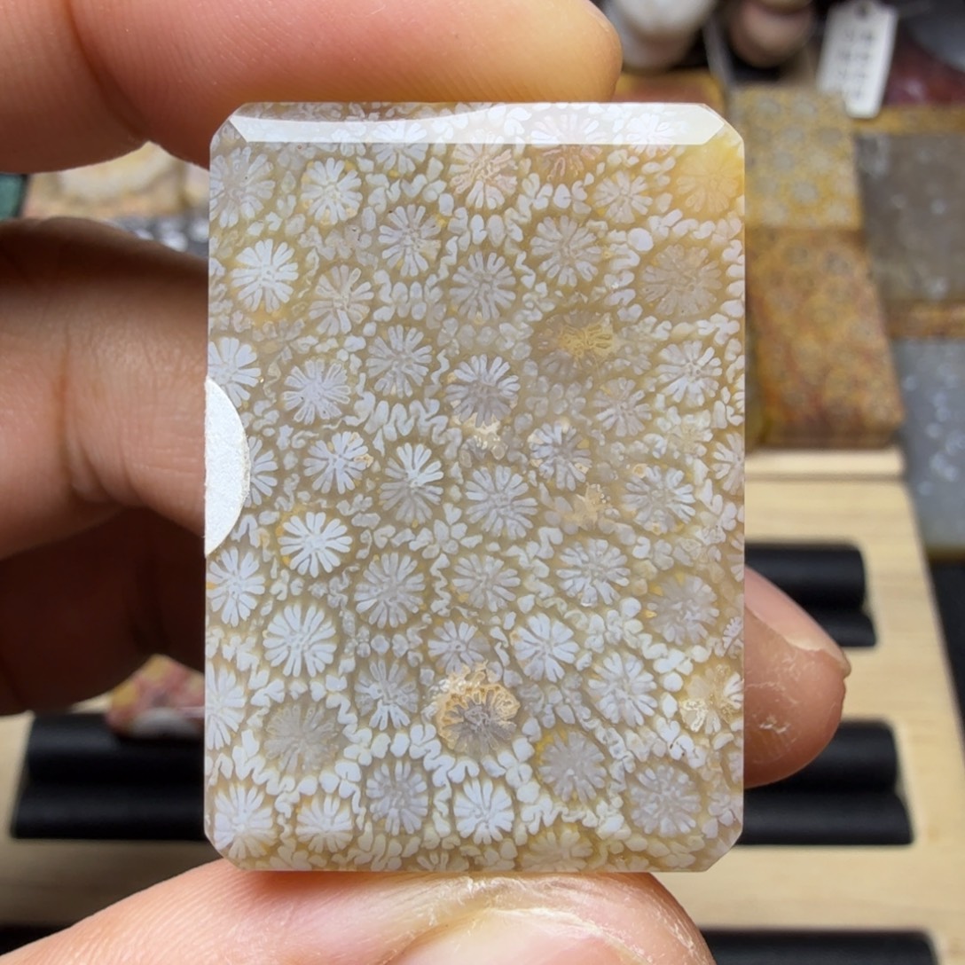 硅化玉未镶嵌纯天然色有机玉石保真色