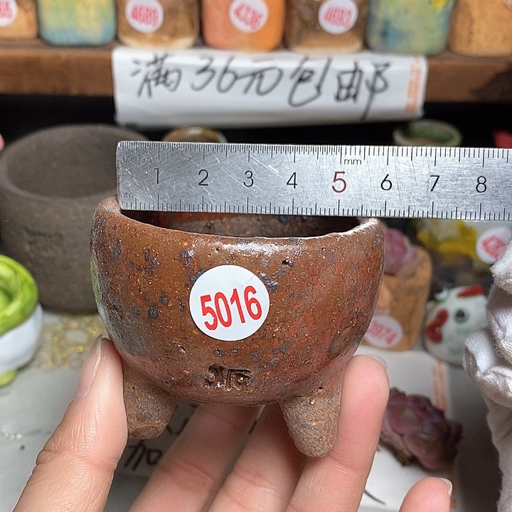 红陶拍5送一个小