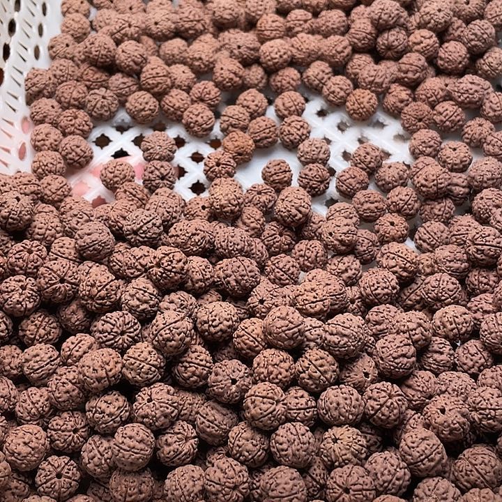 金刚菩提手串黑**胡金刚