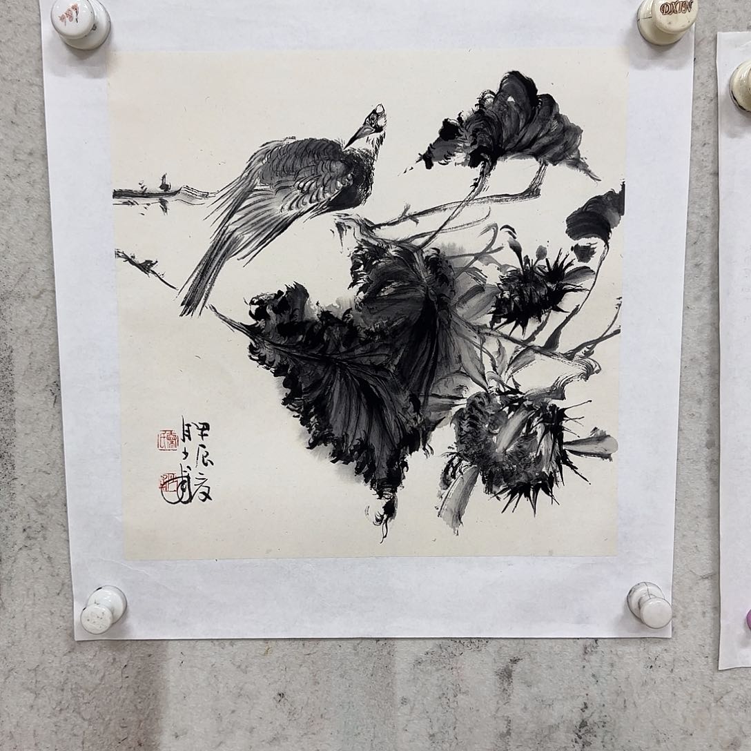国画秦老师作品不要错过