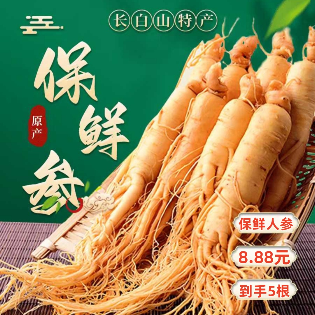 东北保鲜人参【拍一单发5支】真空独立包装单只6克左右