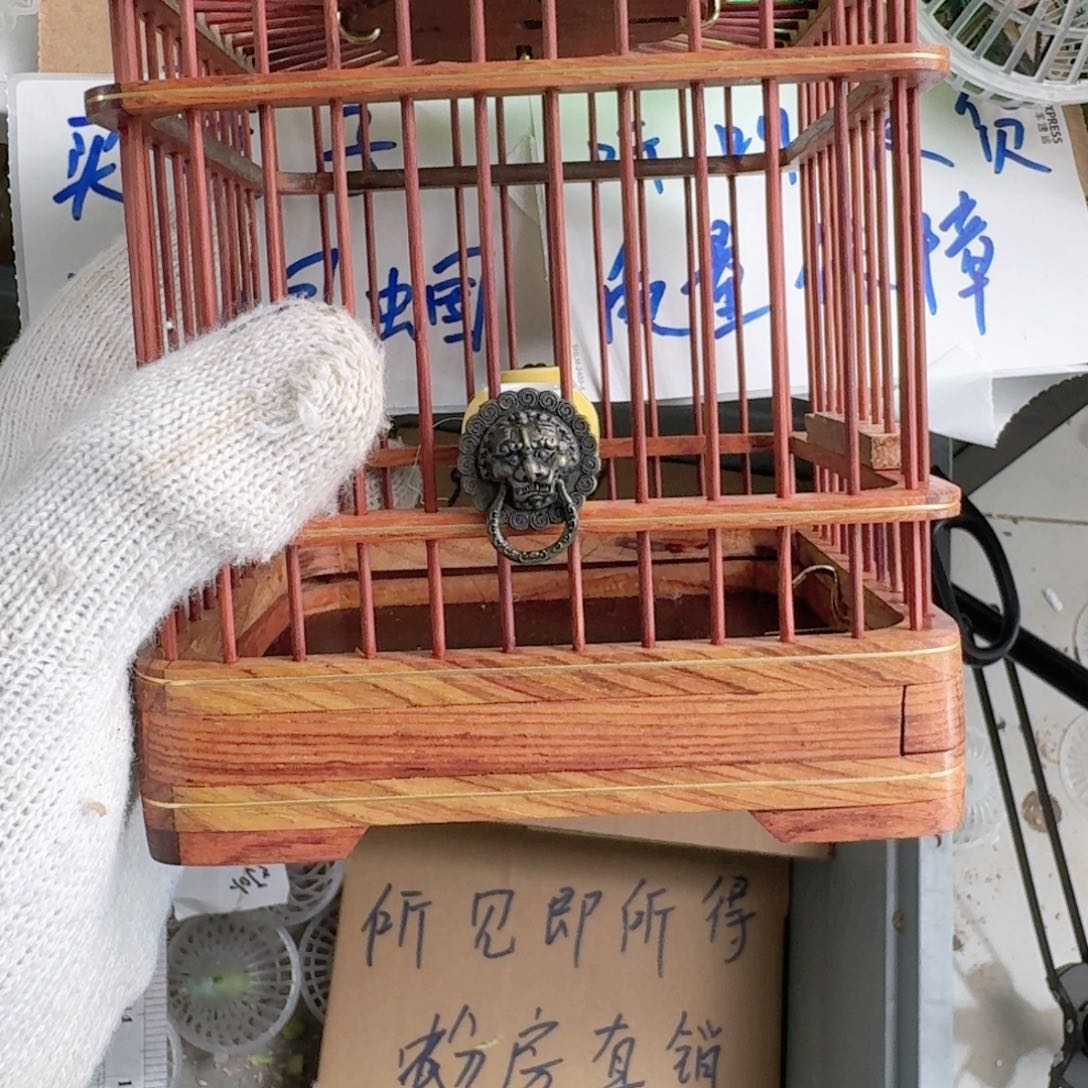 蝈蝈老林老林老林老林了天**王