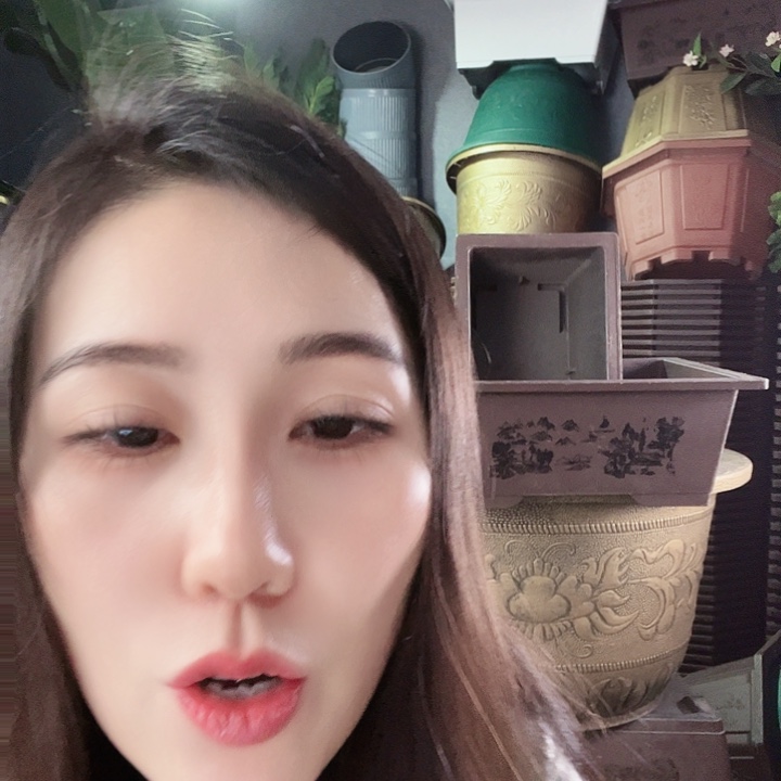 盆景盆50口径一个