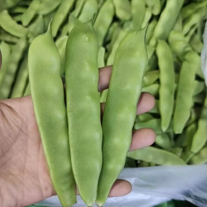 【哈尔滨昭昭】东北特产油豆角黑龙江油豆新鲜现摘现发