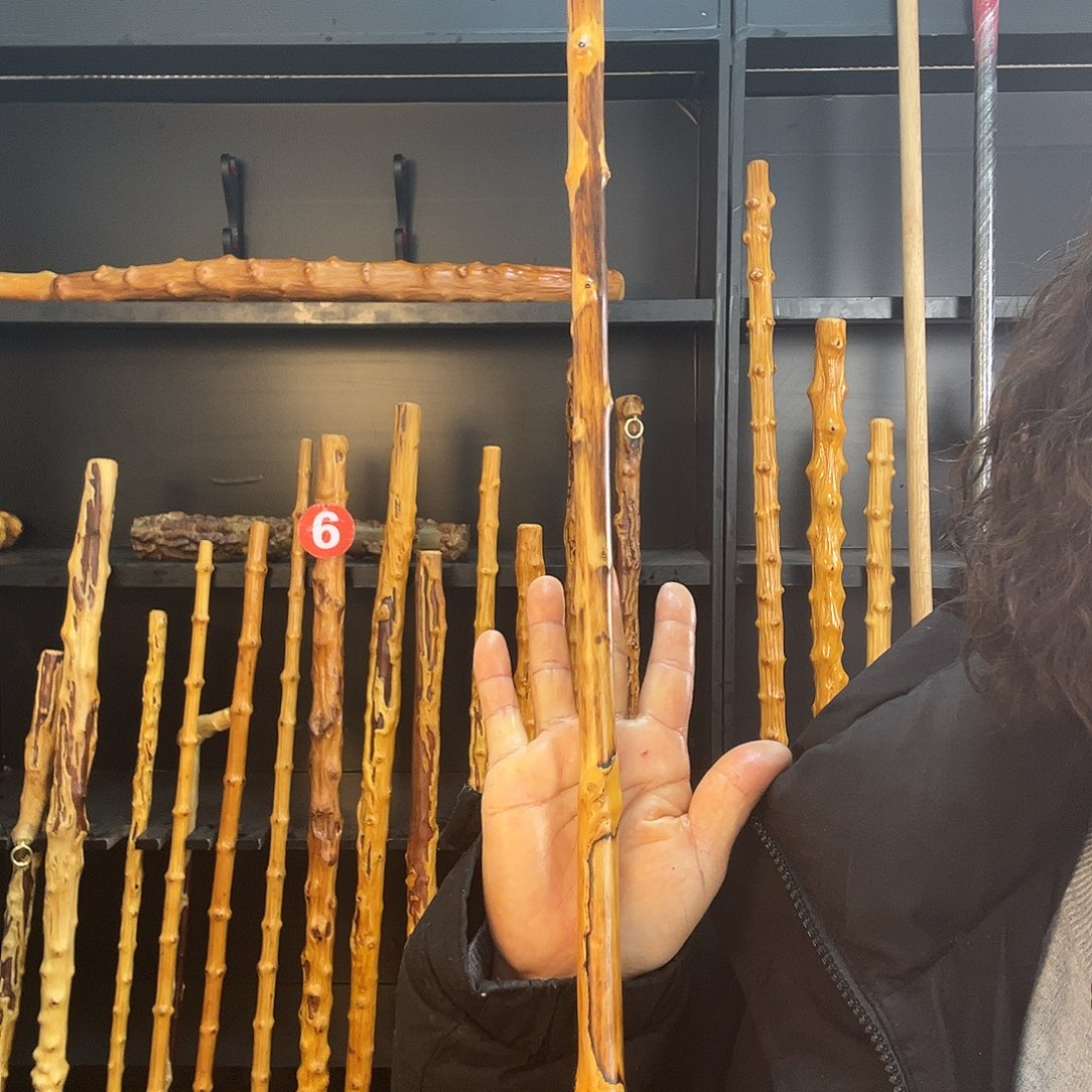 南对节南对节疤棍