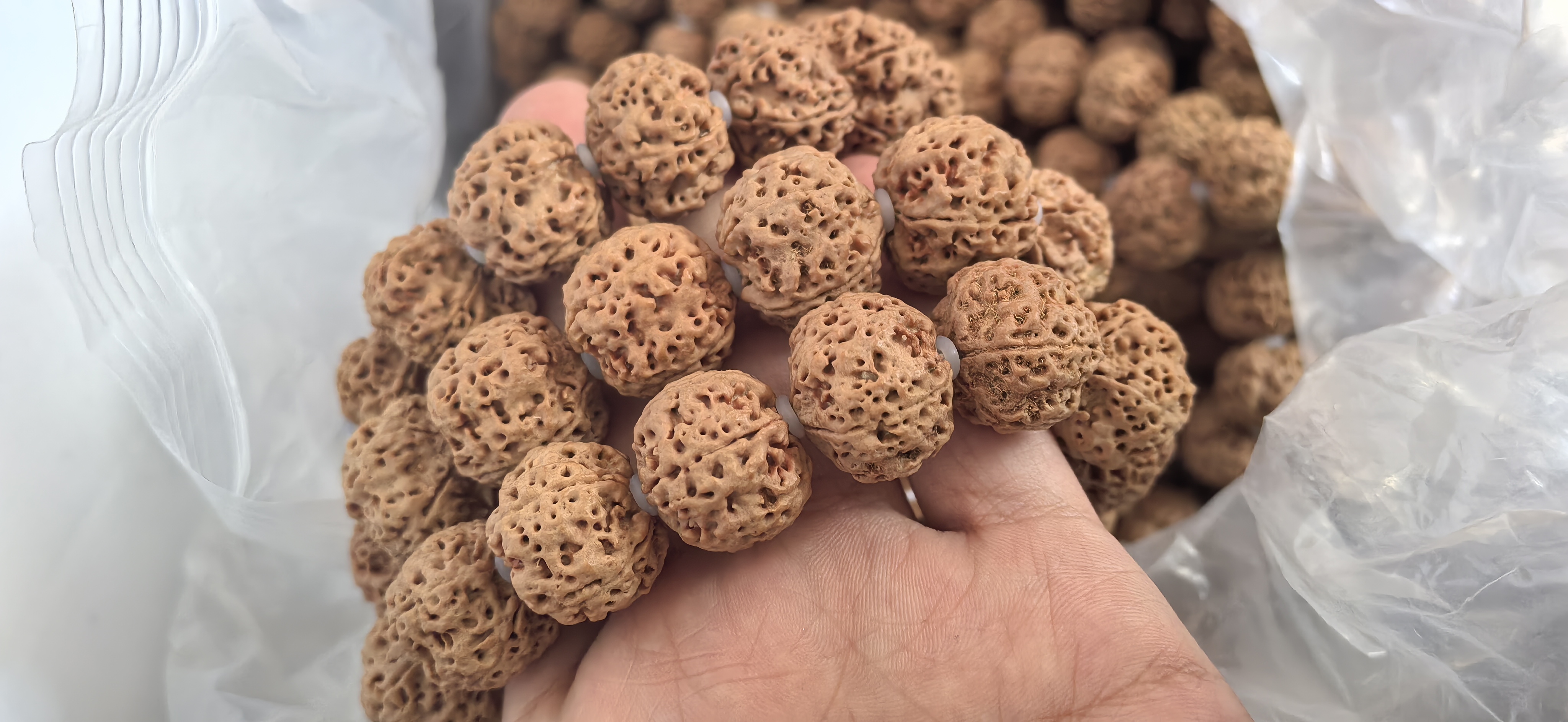 梁产区 文玩手串大金刚菩提