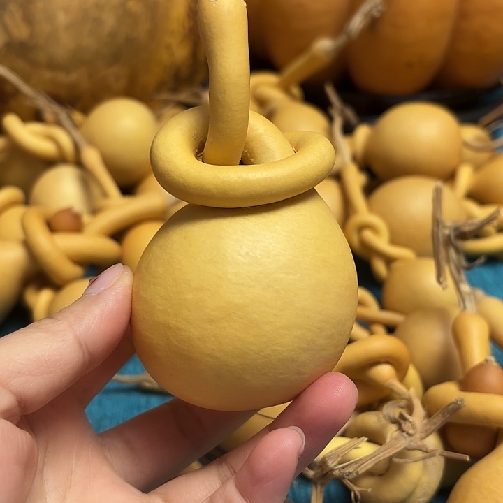 奇***芦一把葫芦便宜漏了