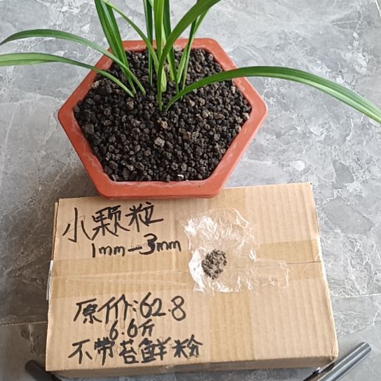 沾***草兰菌黑山土小颗粒6.6斤