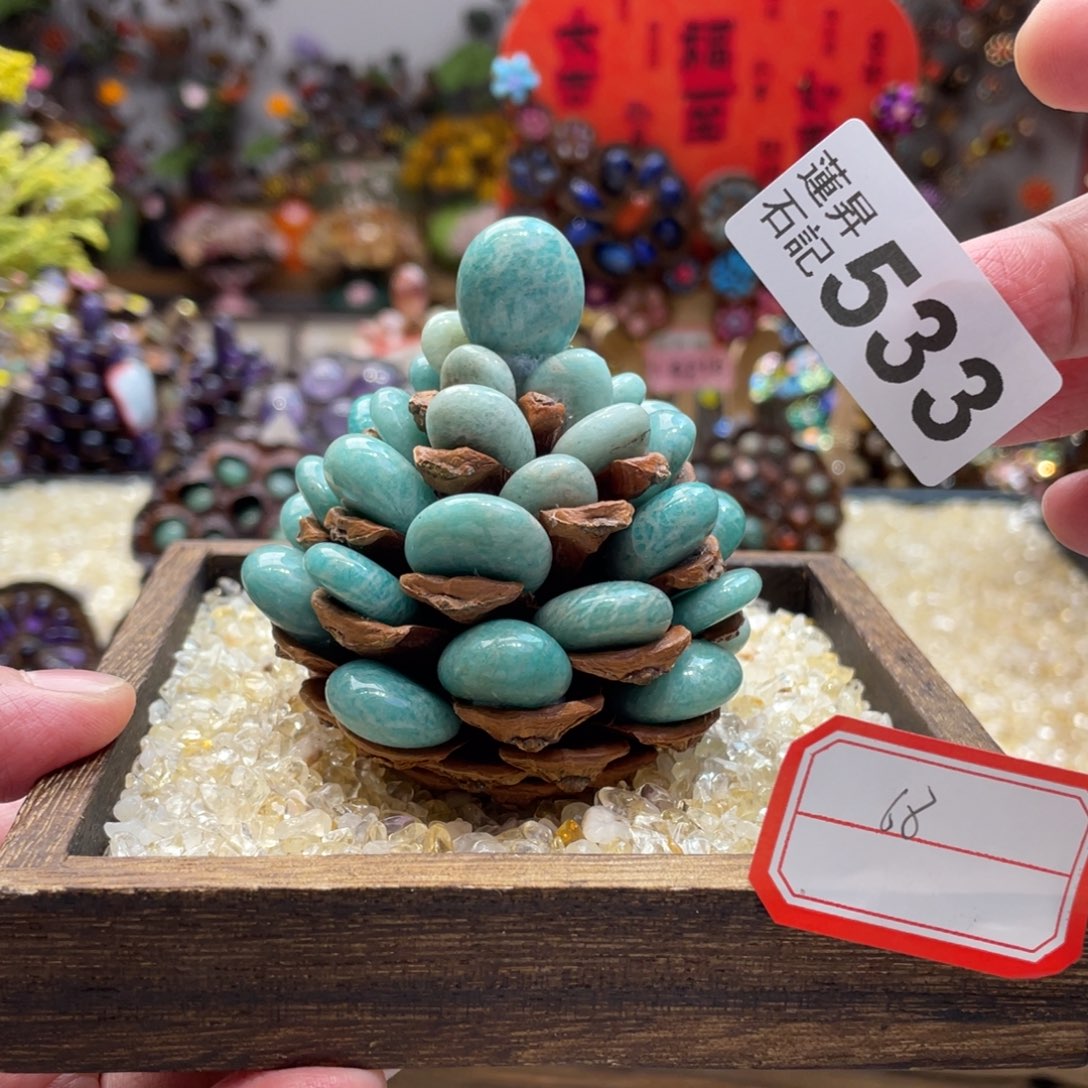 核桃木/黑胡桃（胡桃木）533一套松塔