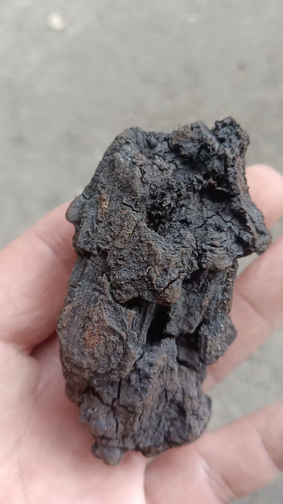 东北深山桦树黑精油