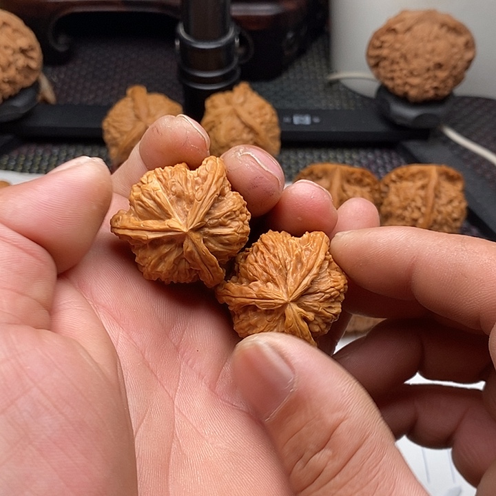 核桃手串/手链拼接白狮子1