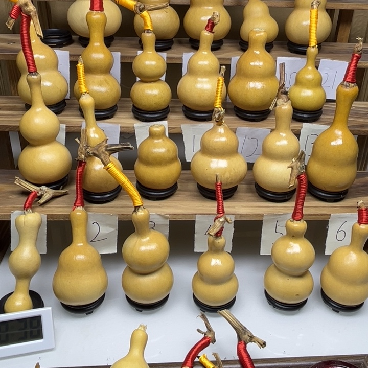 青***志啦啦啦啦啦啦啦啦啦