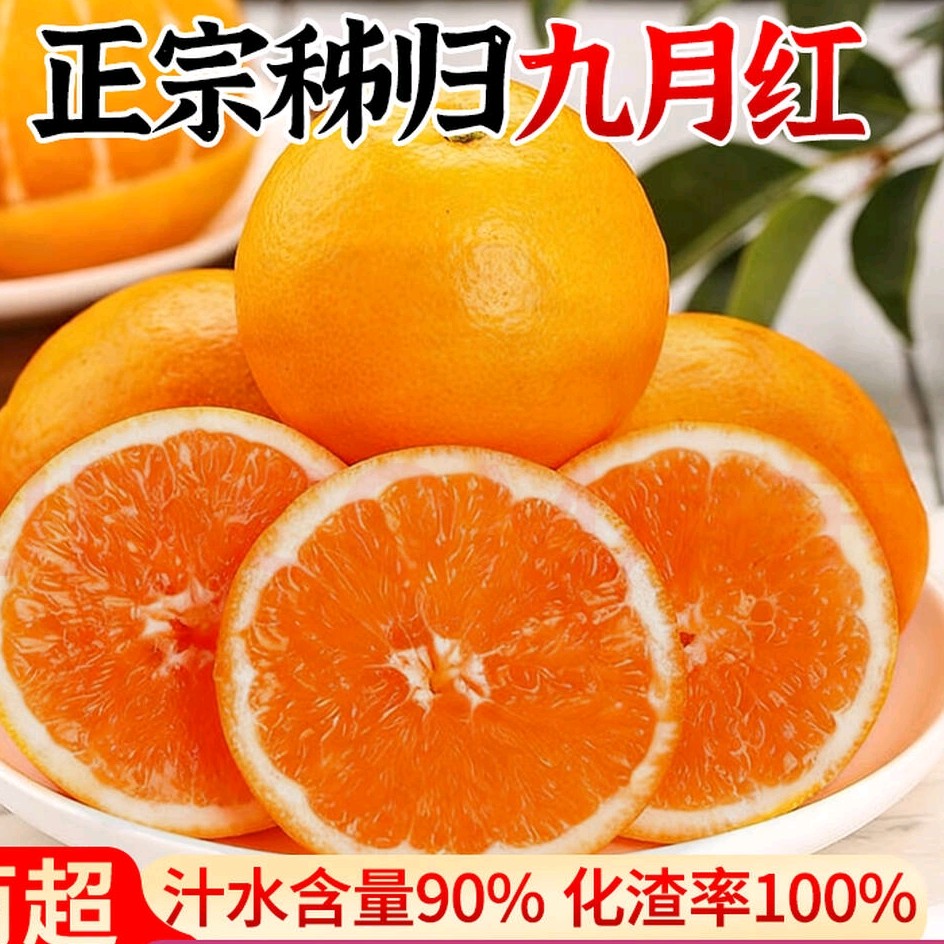 (10斤精品果)正宗秭归九月红果冻橙应季水果[产地直发][自吃送礼]