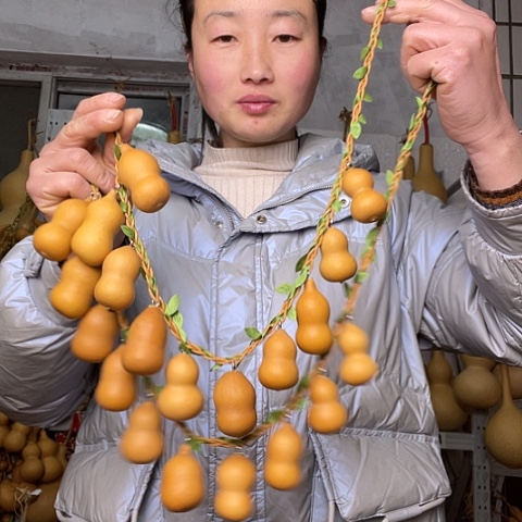 天然植物葫芦文玩