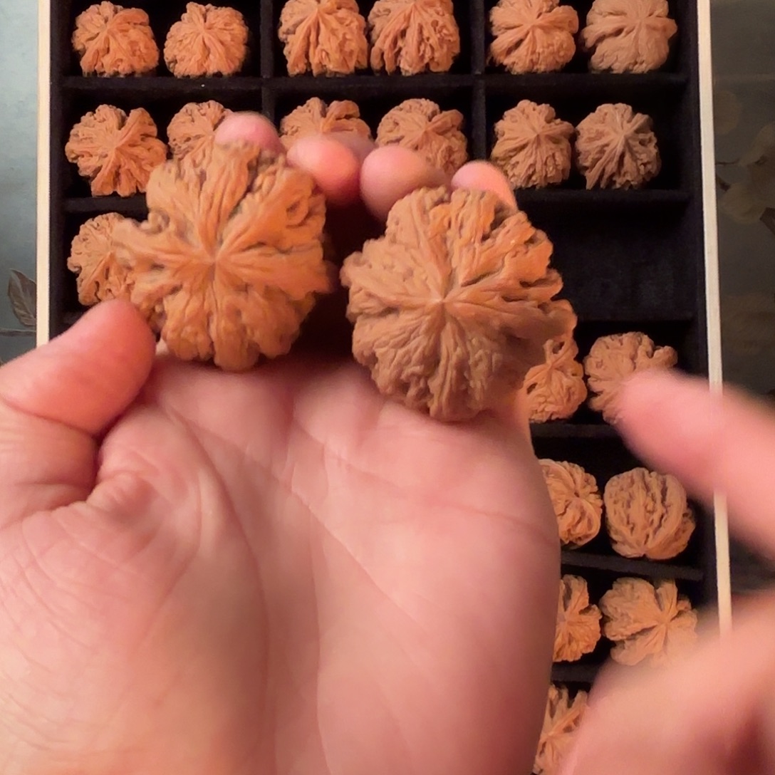 手串/手链核桃55555